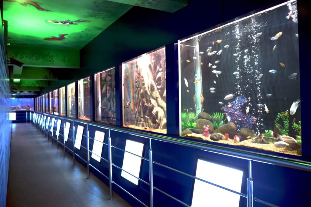 Fish Aquarium in Kesari