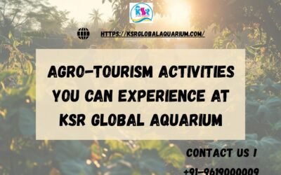 Agro-Tourism in Mahrashtra: Activities You Can Do