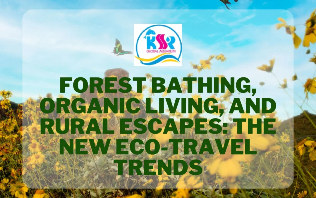 Forest Bathing, Organic Living, and Rural Escapes: The New Eco-Travel Trends