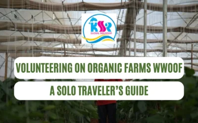 Volunteering on Organic Farms (WWOOF): A Solo Traveler’s Guide