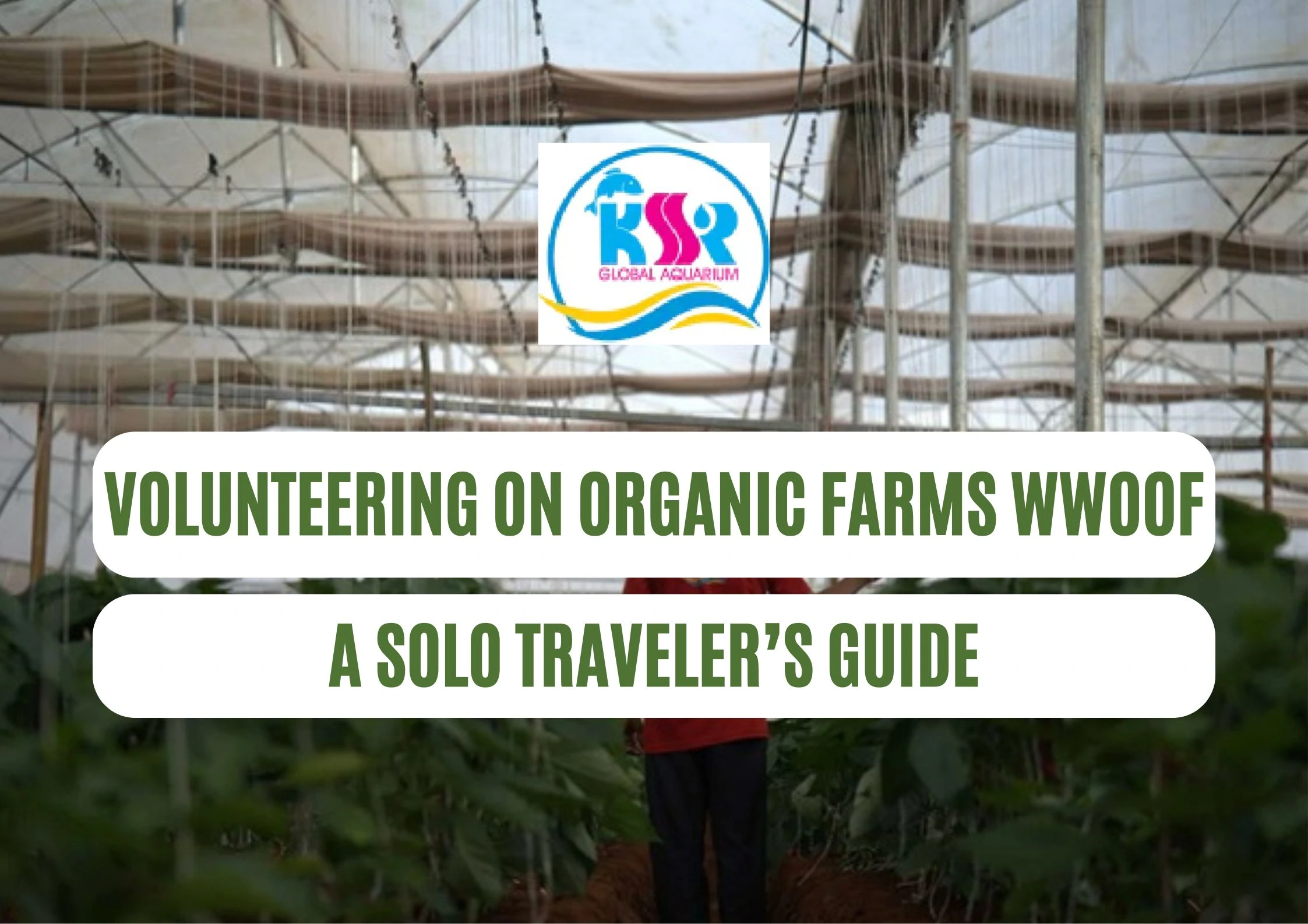 Volunteering on Organic Farms (WWOOF): A Solo Traveler’s Guide