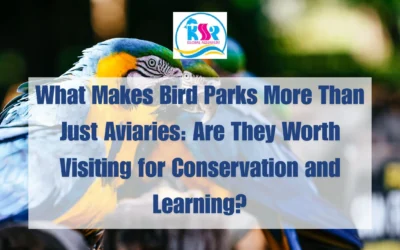 What Makes Bird Parks More Than Just Aviaries: Are They Worth Visiting for Conservation and Learning?