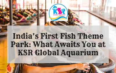 India’s First Fish Theme Park: What Awaits You at KSR Global Aquarium