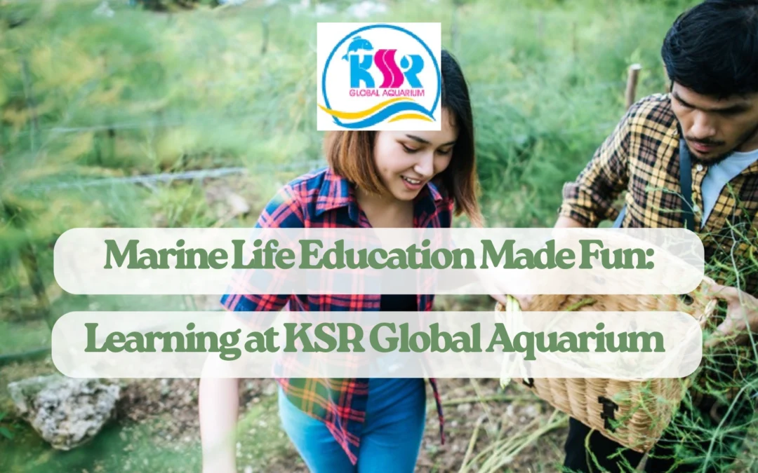 Marine Life Education Made Fun: Learning at KSR Global Aquarium