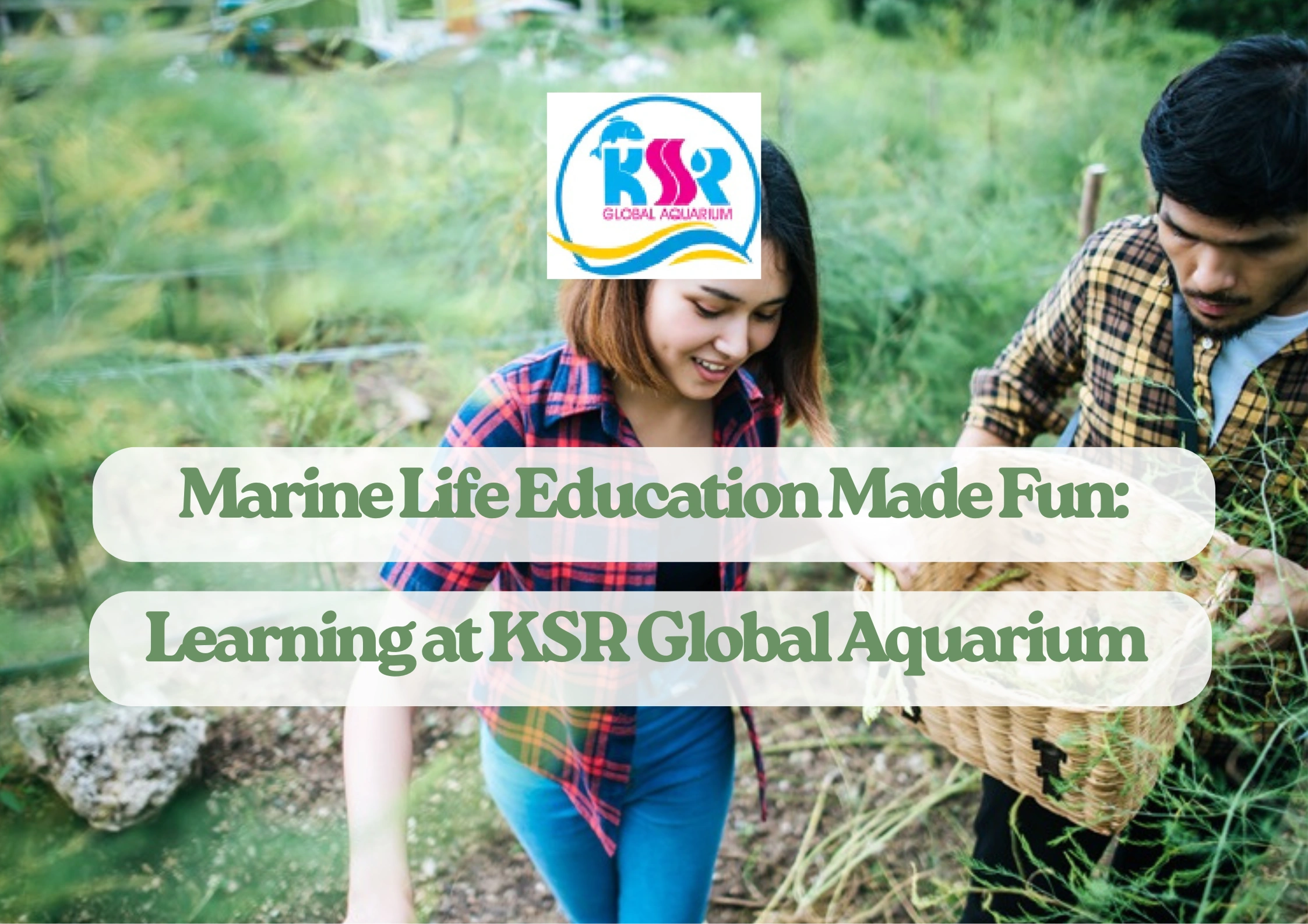 Marine Life Education Made Fun: Learning at KSR Global Aquarium