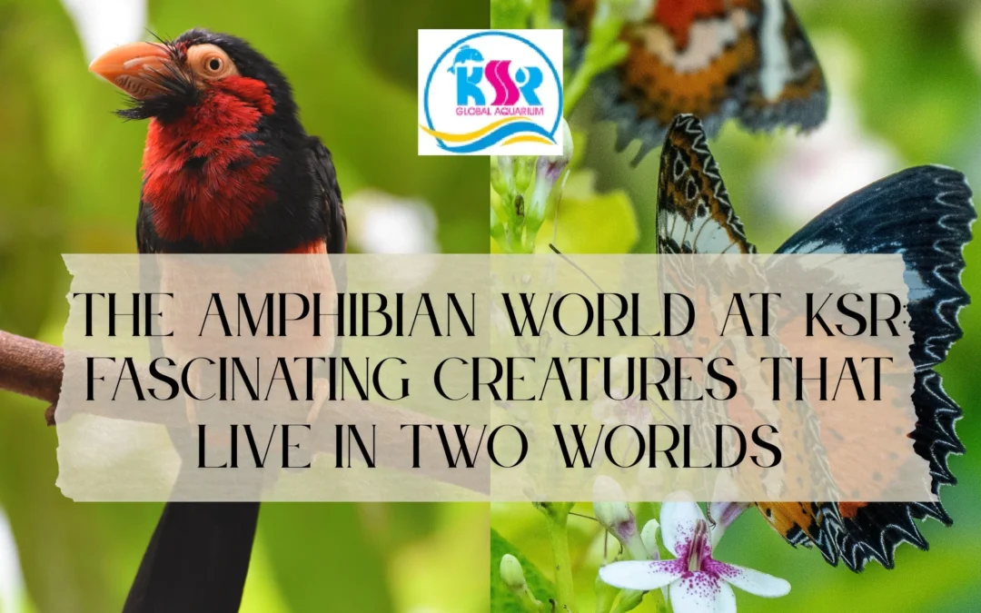 The Amphibian World at KSR: Fascinating Creatures That Live in Two Worlds
