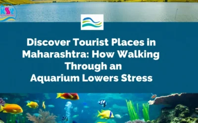 Discover Tourist Places in Maharashtra: How Walking Through an Aquarium Lowers Stress