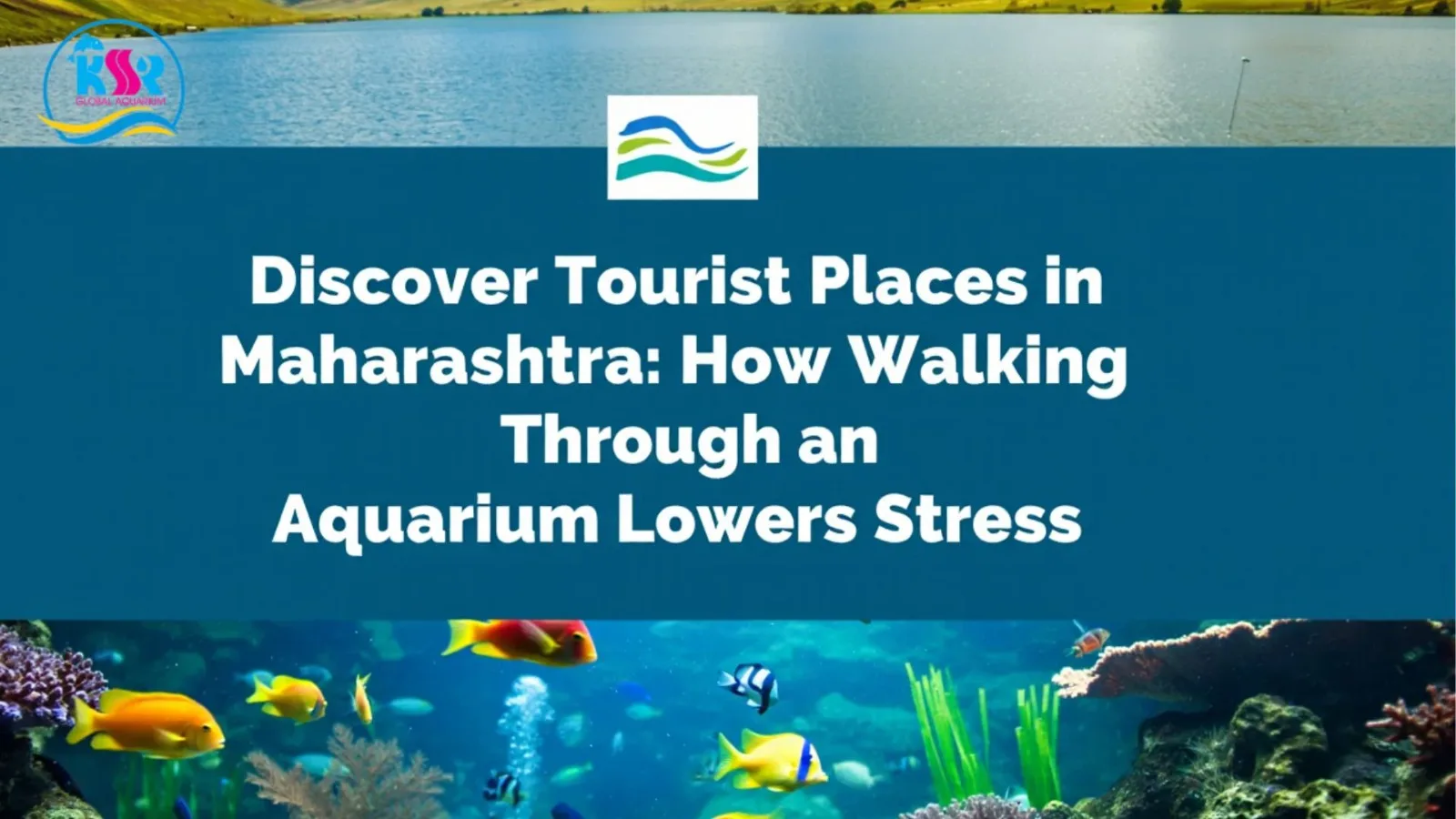 Discover Tourist Places in Maharashtra: How Walking Through an Aquarium Lowers Stress