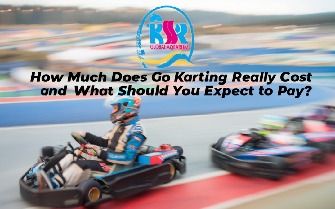How Much Does Go Karting Really Cost and What Should You Expect to Pay?