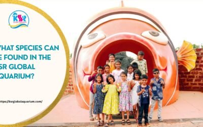 What Species Can Be Found in the KSR Global Aquarium?