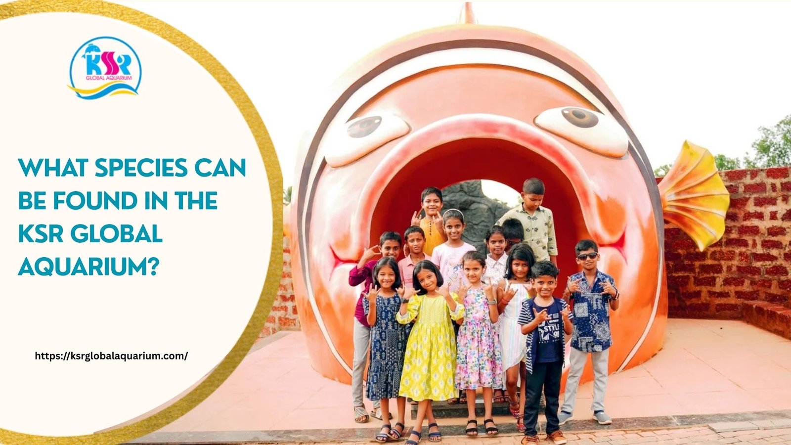 What Species Can Be Found in the KSR Global Aquarium?