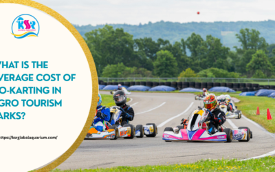 What Is the Average Cost of Go-Karting in Agro Tourism Parks?