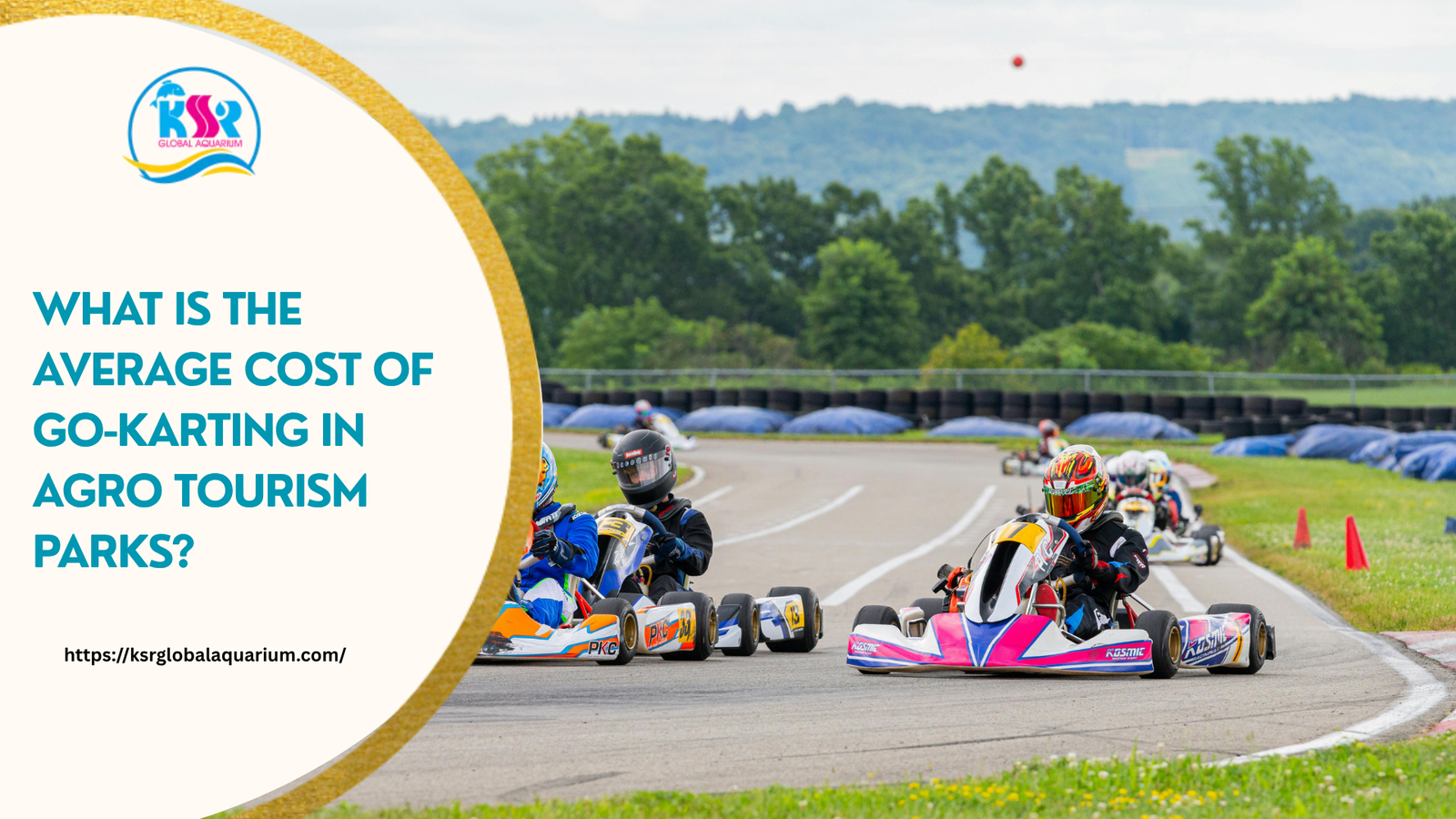What Is the Average Cost of Go-Karting in Agro Tourism Parks?