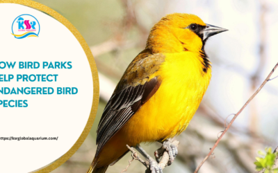 How Bird Parks Help Protect Endangered Bird Species