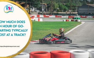 Is go karting worth the price for families and tourists in Maharashtra?