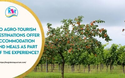 Do Agro-Tourism Destinations Offer Accommodation And Meals As Part Of The Experience?