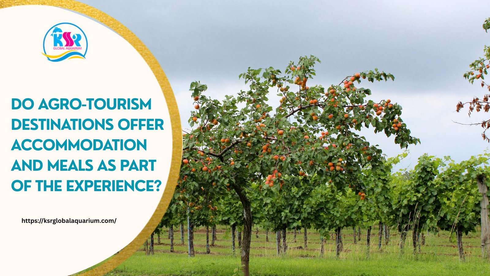 Do Agro-Tourism Destinations Offer Accommodation And Meals As Part Of The Experience?