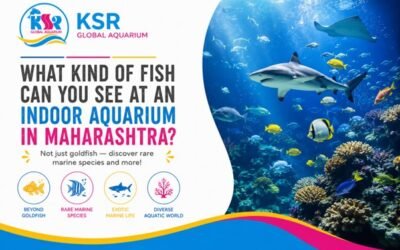 What kind of fish can you see at an indoor aquarium in Maharashtra — is it just goldfish or actual rare marine species?