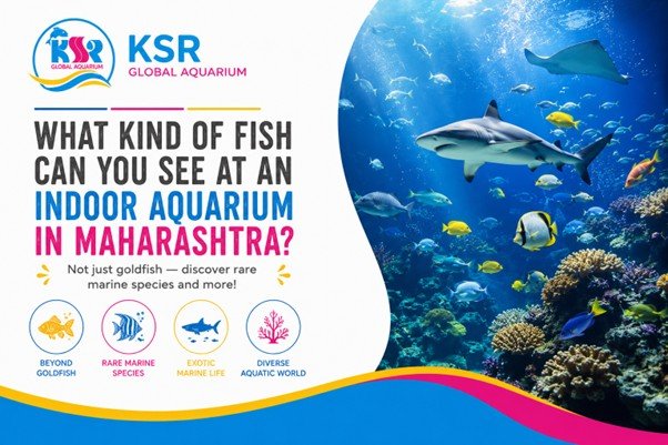 What kind of fish can you see at an indoor aquarium in Maharashtra — is it just goldfish or actual rare marine species?