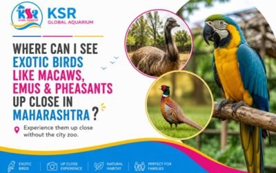Where can I see exotic birds like macaws, emus, and pheasants up close in Maharashtra without going to a big city zoo?