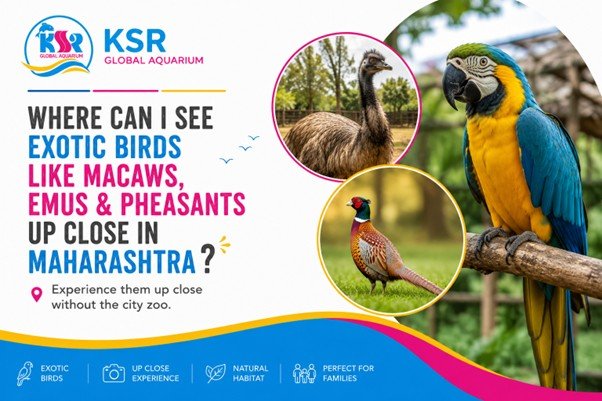 Where can I see exotic birds like macaws, emus, and pheasants up close in Maharashtra without going to a big city zoo?
