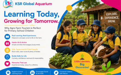 Is agro tourism good for primary school children as an educational day trip — what activities are usually involved?