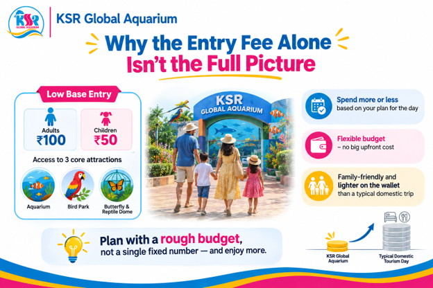 Why the Entry Fee Alone Isn't the Full Picture