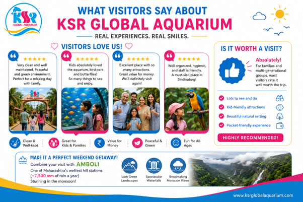 What do visitors say, and is it worth a visit?