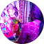 Prachi Ghadigoankar Avatar